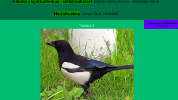 Lajintuntemusharjoittelu ReactJS ReactJS, eläinten lajintuntemussovellus
